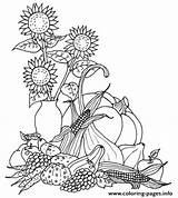 Harvest Coloring Pages Thanksgiving Printable sketch template