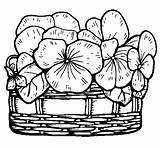 Basket Coloring Pages Filling Flowers Flower Fresh Color Template Sketch sketch template