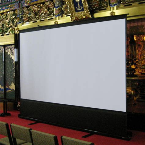 portable white screen projector rwanda