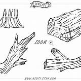 Driftwood Clipart Wood Drawing Hand Branch Tree Clip Branches 570px 8kb sketch template
