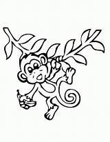 Monkey Clip Cliparts Funny Coloring Printable Pages sketch template
