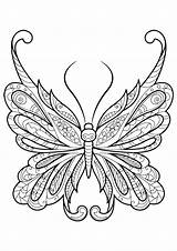 Moth Coloring Pages Printable Getcolorings Color Kids Print sketch template