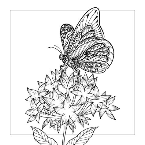 ilustracion de la pagina  colorear mariposa vector premium