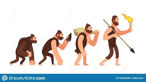 Teoría De La Evolución Humana Etapas Del Desarrollo Del