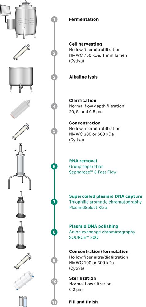 step supercoiled plasmid dna purification cytiva