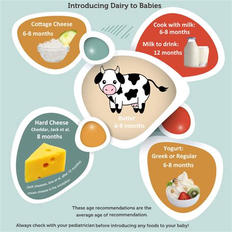 dairy infographic   introduce milk  dairy products