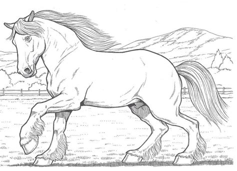 clydesdale horse coloring pages book  kids