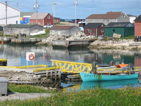 fun  fascinating facts  anchor point newfoundland