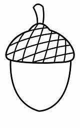 Acorn Nut sketch template