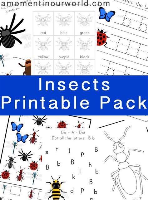 insect printable pack  preschool printables homeschool