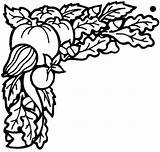 Verduras Recolectadas Ausmalen Herbstbild Gemuse Ausmalbild Geerntet Designlooter Harvested sketch template