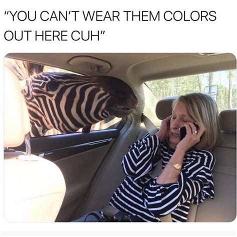 wear  colors   cuh funny