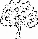 Coloring Tree Apple Getdrawings Pages sketch template