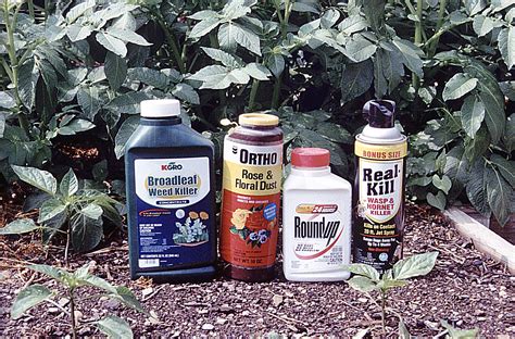 top  reasons     read  pesticide label garden housecalls
