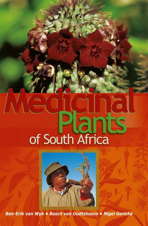 medicinal plants of south africa namibia book market
