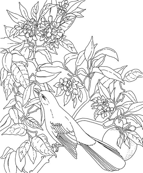 flower coloring pages  adults  coloring pages  kids