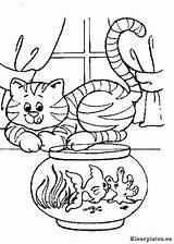 Kleurplaat Kleurplaten Colorat Chats Pisici Gatti Poesjes Kittens Poisson Katten Animale Poezen Planse Katze Gatto Poesje P92 1859 Colorier Pisica sketch template