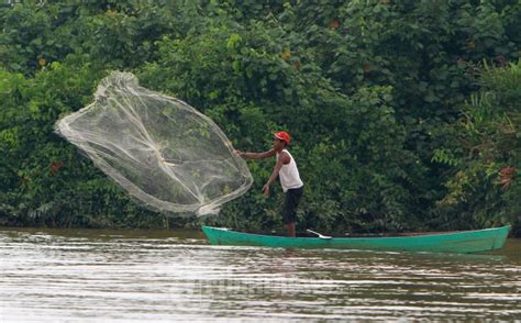 menjala  memancing ikan foto   tribunnewscom