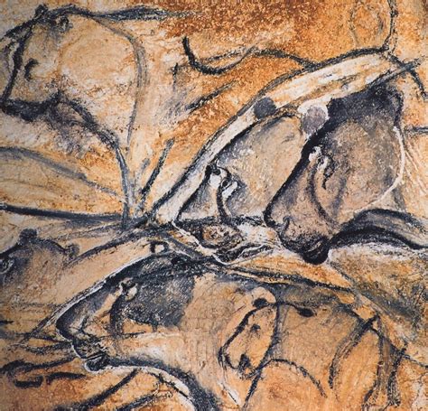 cave paintings  lions  france      years