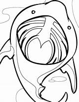 Coloring Shark Pages Mouth Basking Open Lip Lips Clipart Gloss Color Kissing Getcolorings Clipartbest Clipground sketch template