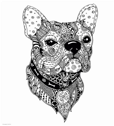 hard coloring pages  animals thiva hellas