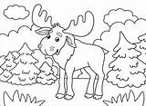 Moose Alce Supercoloring sketch template