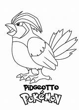 Pidgeotto Kolorowanka Printable Books Pidgeot Morindia Pokemony sketch template