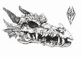 Drawings Skull Dragon Skulls Dragons sketch template