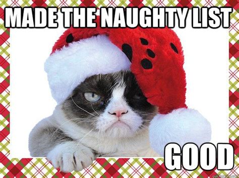 Made The Naughty List Good A Grumpy Cat Christmas Christmas Quotes
