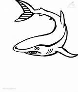 Shark Coloring Animals Color Viewed Kb Size sketch template