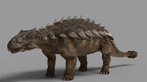 ankylosaurus  model  astil