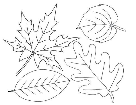printable fall leaves coloring pages leaf coloring page fall