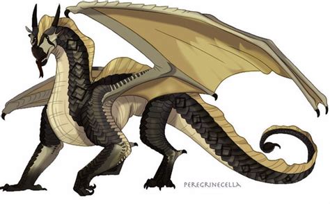 xercole  peregrinecellas sandwing base wings  fire dragons
