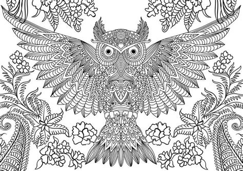 hard owl coloring pages  girls