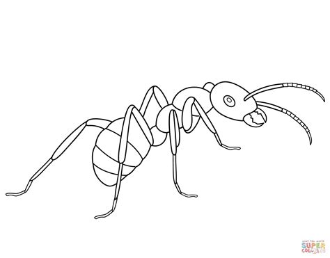 ant coloring page  printable coloring pages
