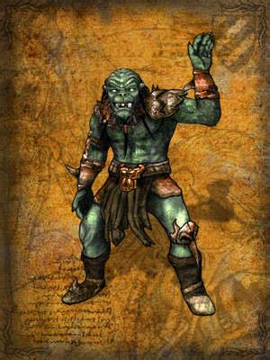 sacred orcish  beginners sacredwiki