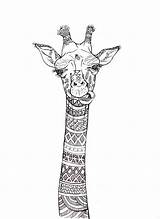 Giraffe Jirafa Zentangle Sketches Colorare Giraffa Tatuaje Bulldog Lienzo Polígono sketch template