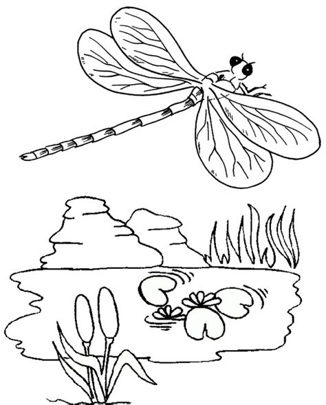 beautiful dragonfly coloring pages  kids coloring pages