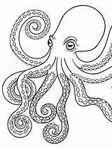 Octopus Coloring Drawing Pages Adult Kids Giant Squid Outline Color Heart Tattoo Swim Realistic Printable Baby Simple Drawings Adults Cartoon sketch template
