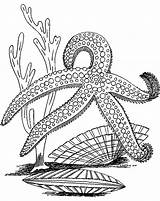 Starfish Coloring Pages Star Sea Printable Fish Color Colouring Kids Getcolorings Print Recommended sketch template