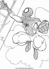 Ragno Spiderman Cartoni sketch template
