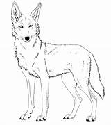 Coyote Drawing Howling Coloring Printable Pages Getdrawings sketch template