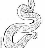 Snake Coloring Pages Anaconda Cobra Realistic Color Reptile Getdrawings Boa Kids Draw Totem Getcolorings Reptiles Animals Colorings Painter sketch template