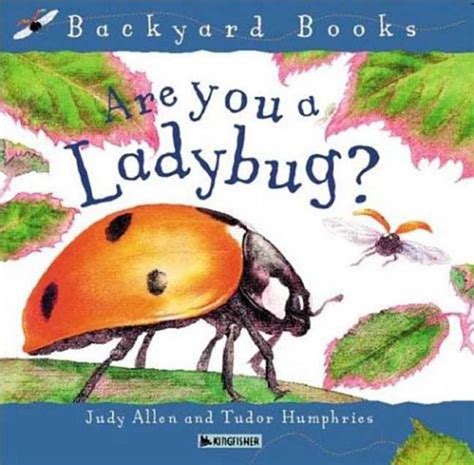 ladybug judy allen macmillan