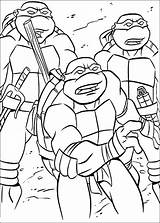 Tortugas Colorear Turtle Maerchen sketch template