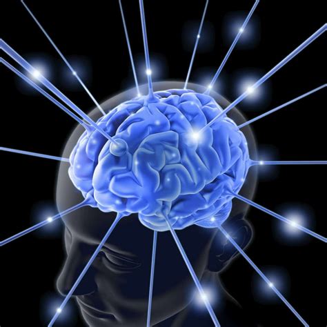 los dos cerebros meditacion mindfulness  psicologia