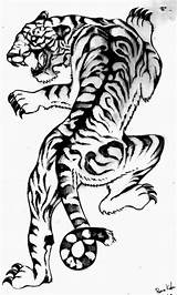 Tattoo Tiger Tattoos Climbing Japanese Tribal Lion Drawing Tigers Drawings Sketches Sketch Tatoo Result Michelle Choose Board Animal sketch template