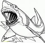 Shark Coloring Pages Scary Great Printable Sharks Color Getcolorings Print sketch template