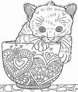 Coloring Pages Cat Colouring Kitten Cute Cup Adult Adults Printable Dog Cats Sheets Grown Book Kids Animal Ups Zentangle Colormatters sketch template