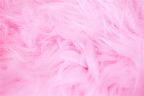 pink background images     design projects